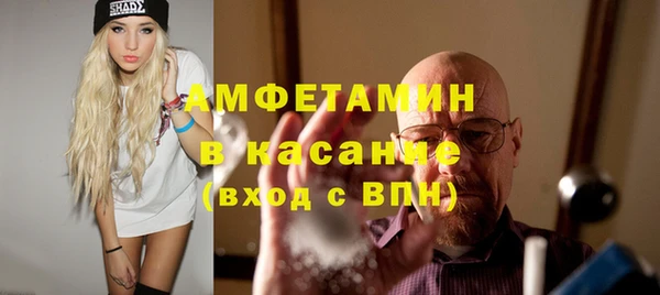 индика Абаза