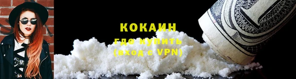 хмурый Алзамай
