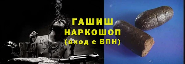 индика Абаза