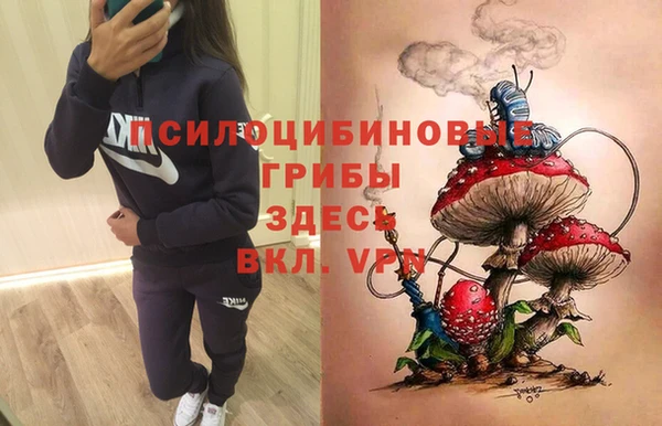 хмурый Алзамай