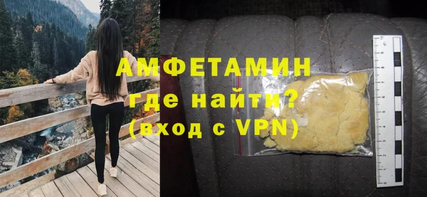 индика Абаза