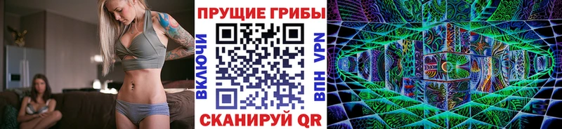 Псилоцибиновые грибы Psilocybe  закладка  Новосибирск 